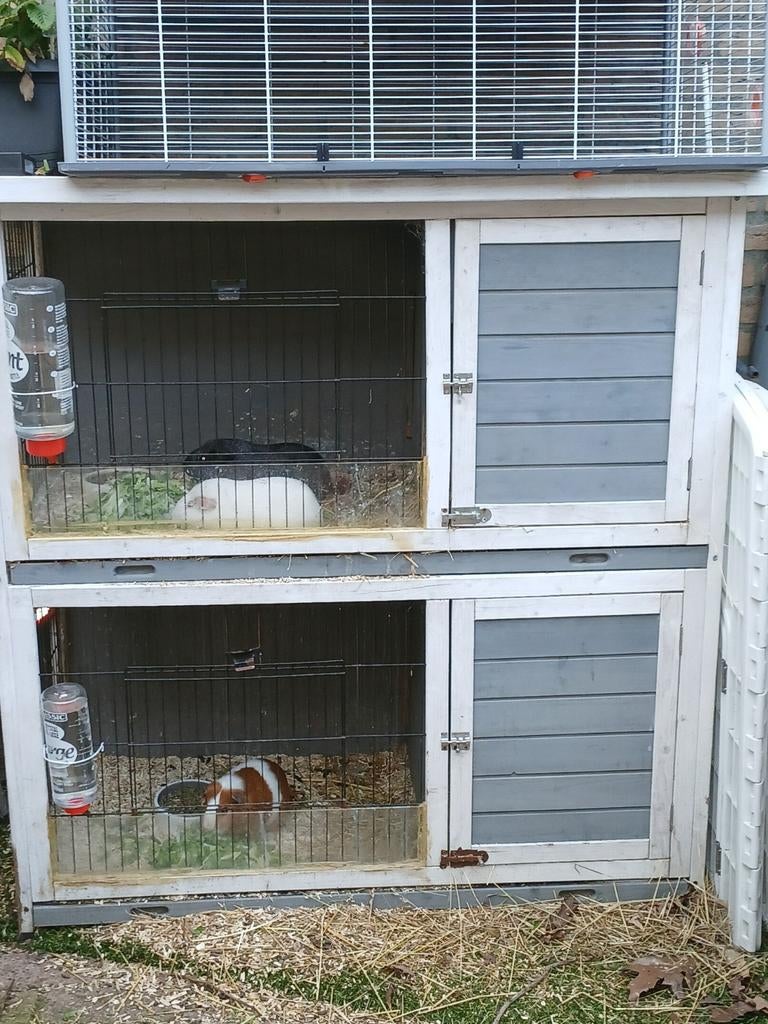 Dubbele buitenkooi incl binnenkooi cavias voer, Ophalen, Kooi, 110 cm of meer, Zo goed als nieuw