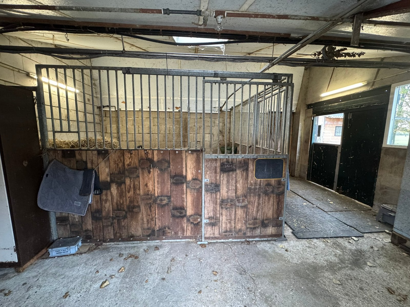 Beschikbaar opfokstal merrieveulen, Opfok, 1 paard of pony