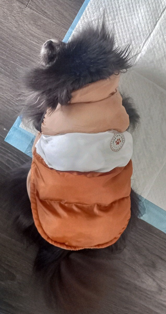 Bodywarmer hond klein ras, Ophalen of Verzenden