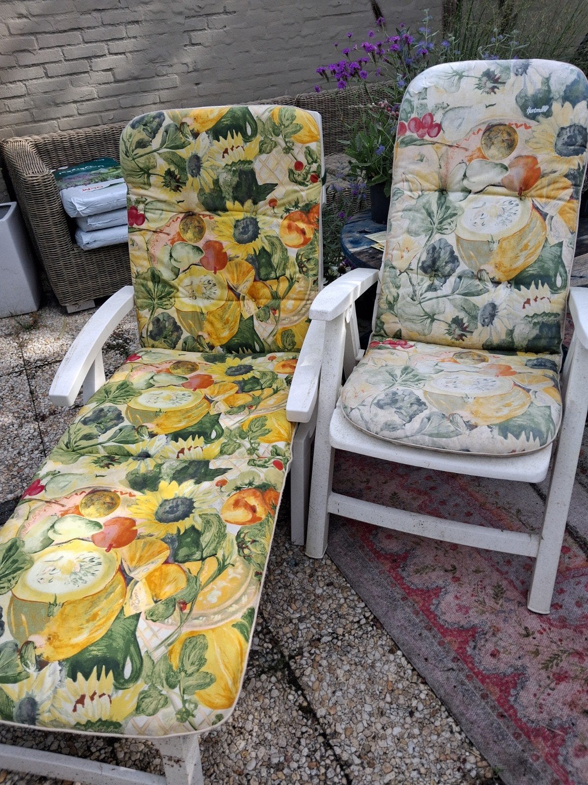 Twee stoelen, een lig en een zit met vrolijke kussens t.e.a., Tuin en Terras, Ophalen, Gebruikt, Kunststof