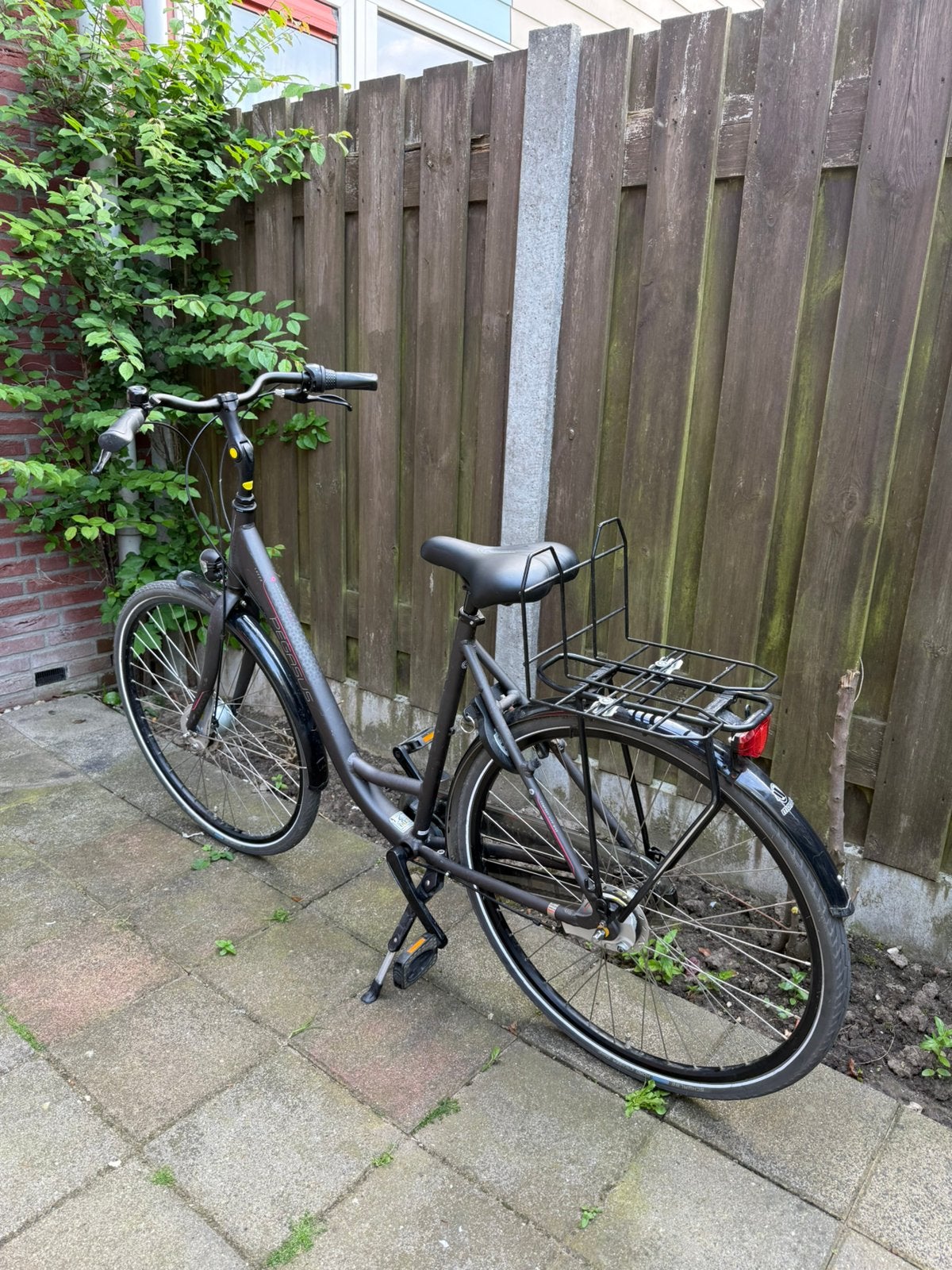 Pegasus Lucca Damesfiets 28 inch 3 versnellingen 55cm, Ophalen, Velgrem, Versnellingen, 53 tot 56 cm