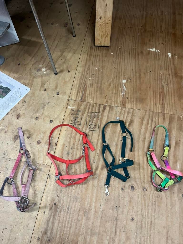 Halsters, Ophalen, Zo goed als nieuw
