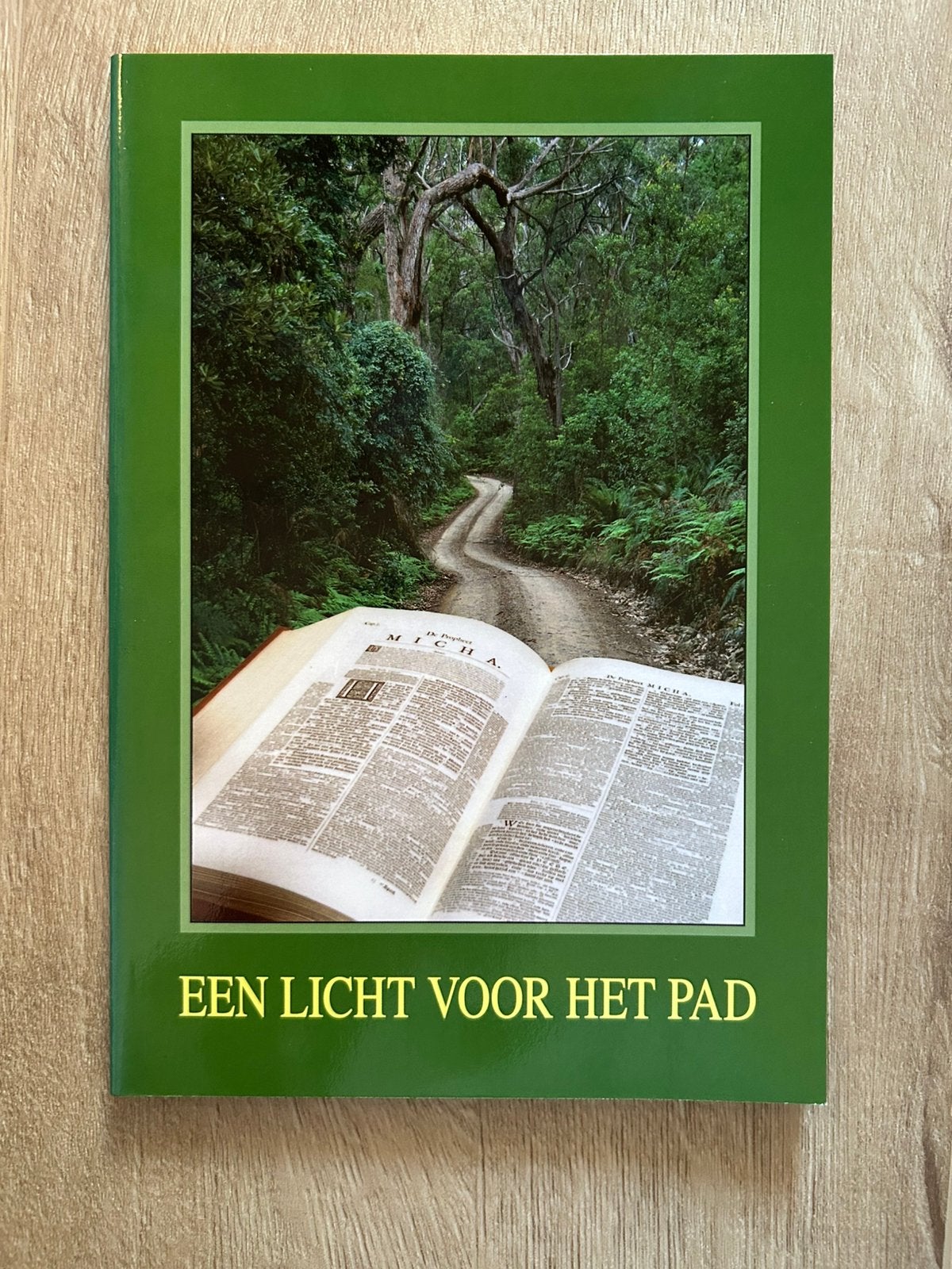 Een licht voor het pad, voorwoord ds. P. Blok, Ophalen of Verzenden, Gelezen