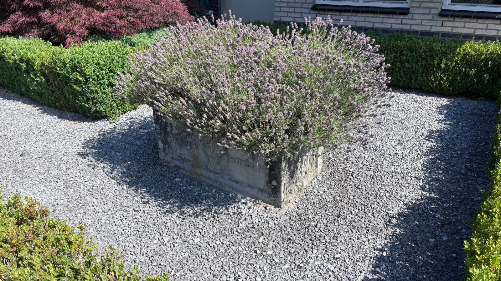 Plantenbak steen 50x100cm 50cm hoog, Ophalen, Steen, Gebruikt, 100 cm of meer