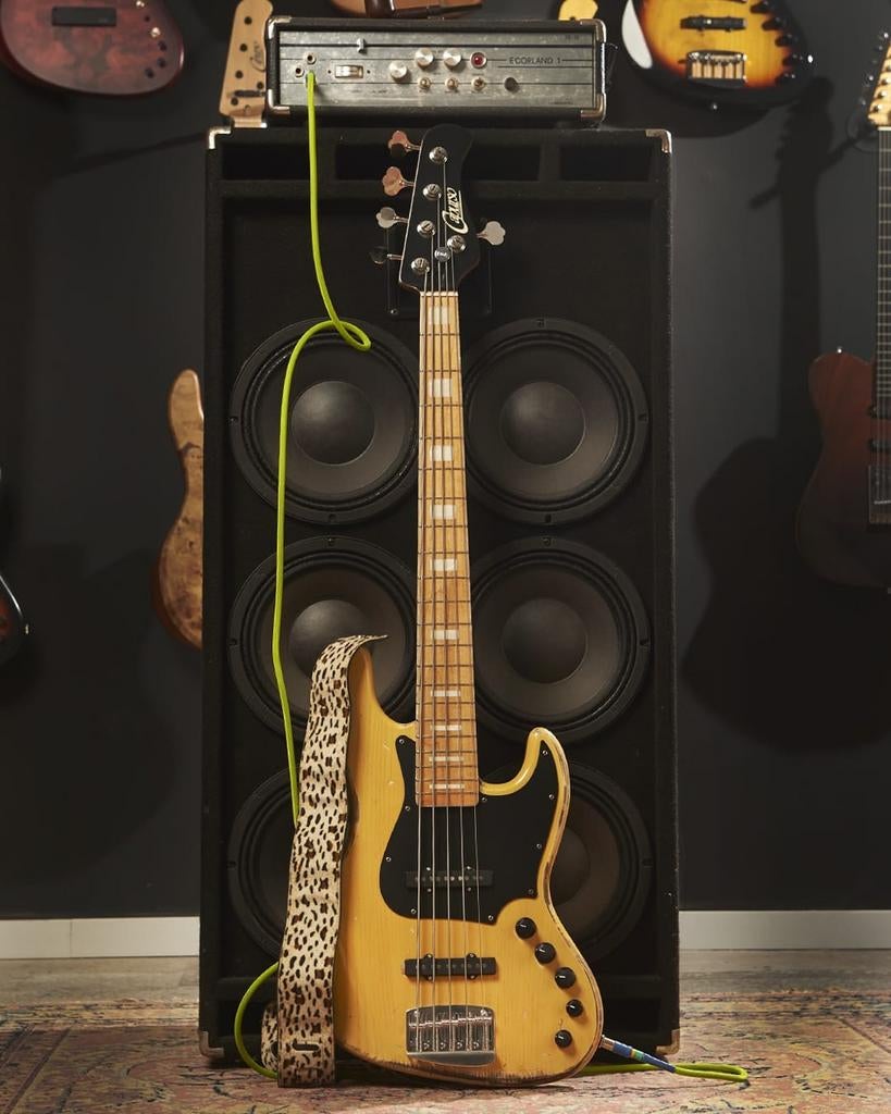 Capurso Spiral 5-snarige basgitaar - Zo goed als nieuw, Muziek en Instrumenten, Ophalen of Verzenden, Nieuw, Elektrisch, 5-snarig