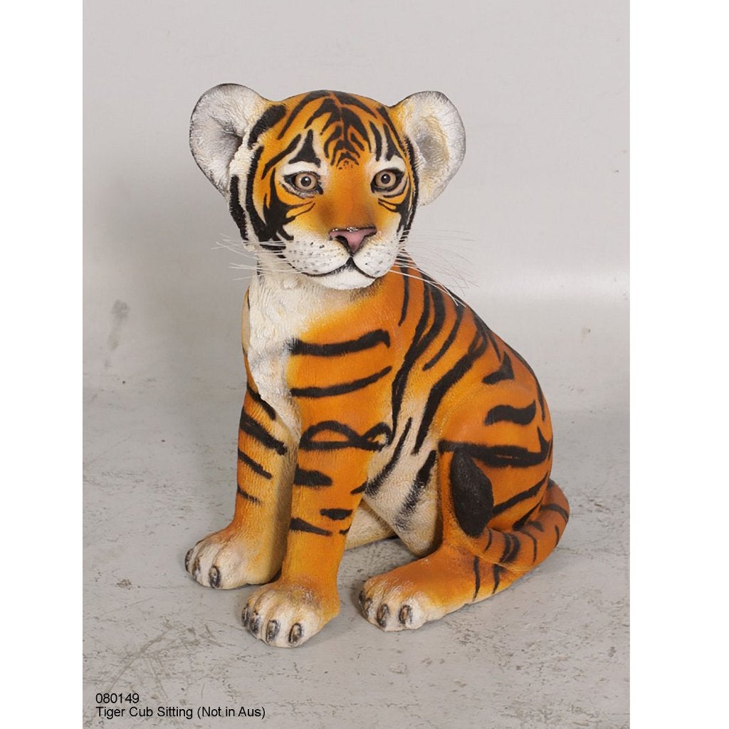 Tiger Cub Sitting – Tijger beeld Hoogte 53 cm, Ophalen, Nieuw, Overige typen