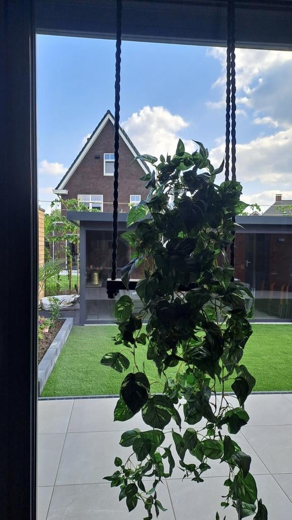 Raamdecoratie voor plant, Ophalen of Verzenden, Nieuw
