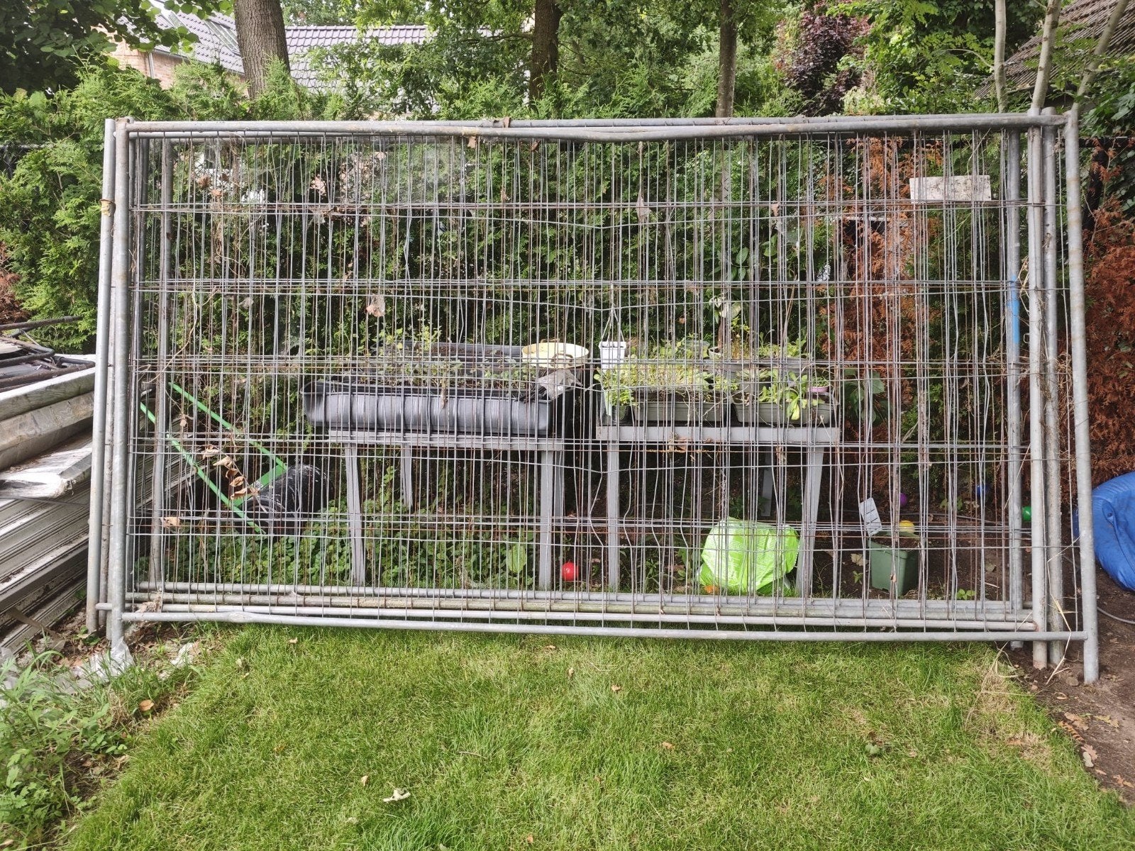 Bouwhekken 3,5 x 2 m. Inclusief 8 voeten en klemmen, Ophalen, Gebruikt, IJzer