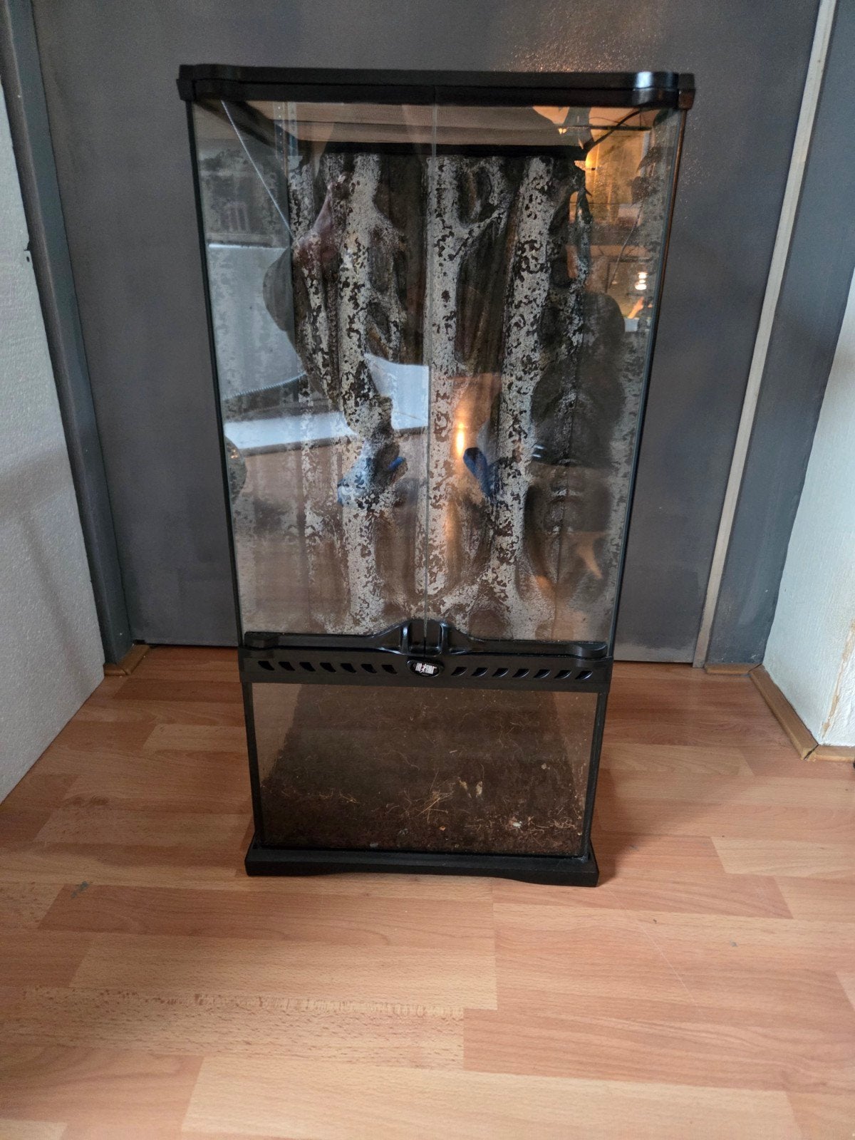 Exo Terra Paludarium / Terrarium – 30x30x60 cm, Dieren en Toebehoren, Ophalen, Zo goed als nieuw