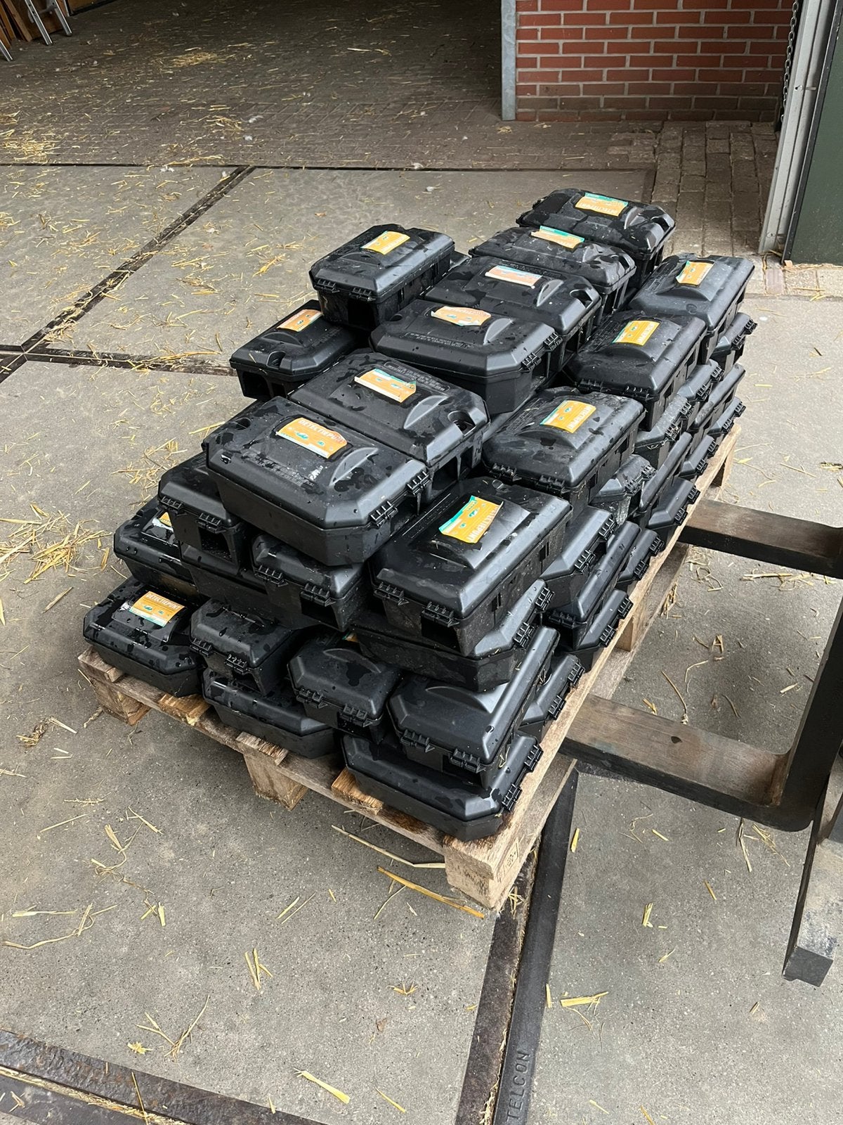 Rattenvallen lokdozen ongediertrbestrijding, Dieren en Toebehoren, December, Rat