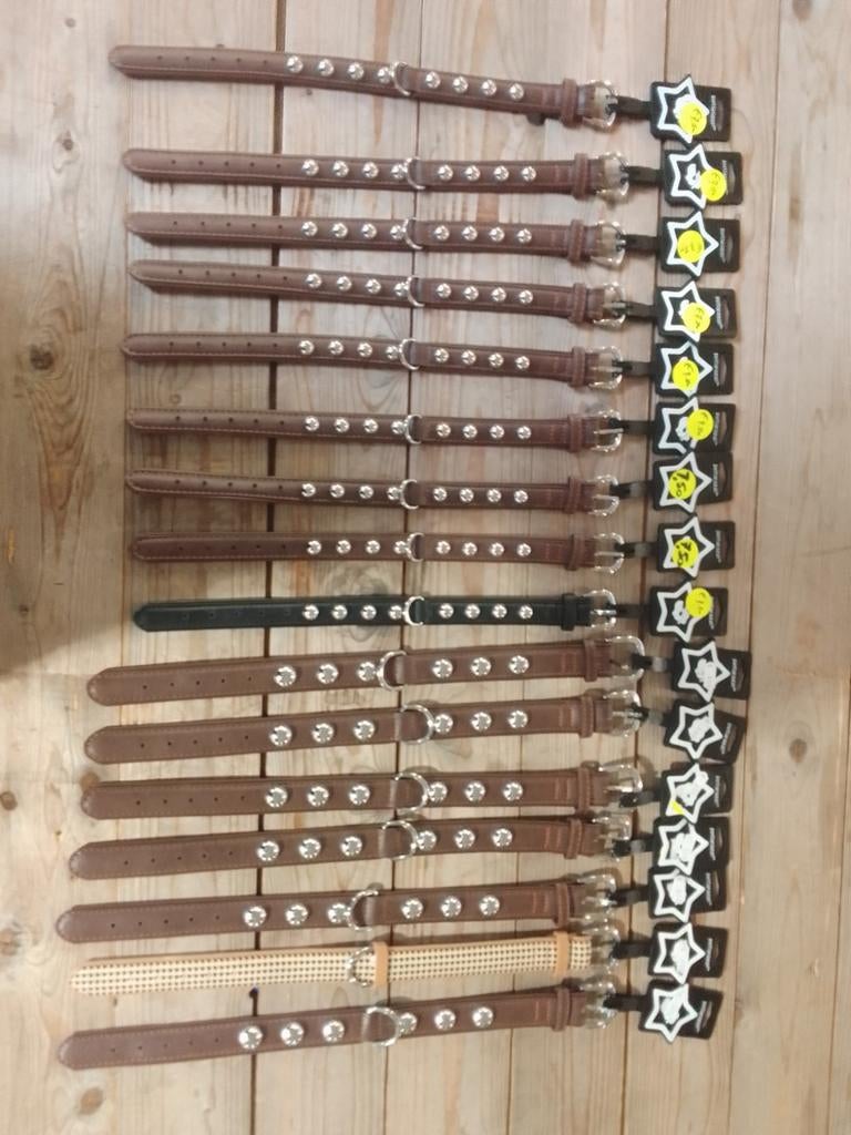 Pettarazzi - Halsband - met Zilveren Knopen -, .., Pettarazi.com, Pettarazi, Nieuw