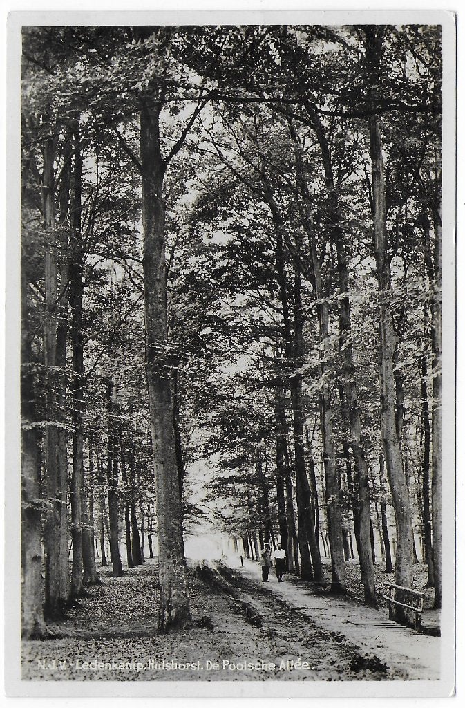 Hulshorst De poolsche Allee Ansichtkaart ongelopen ( B8155), Ophalen of Verzenden, 1920 tot 1940, Ongelopen