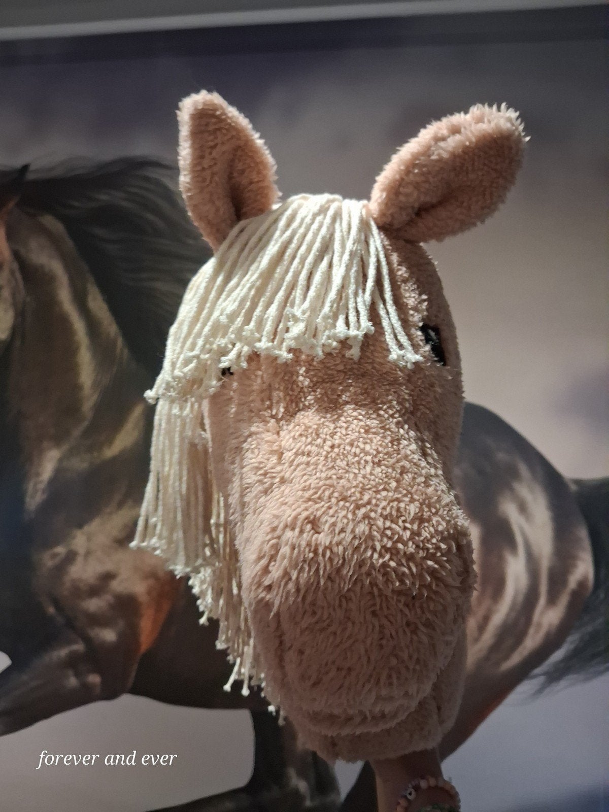 MOET WEG Mooie hobbyhorse, Ophalen of Verzenden
