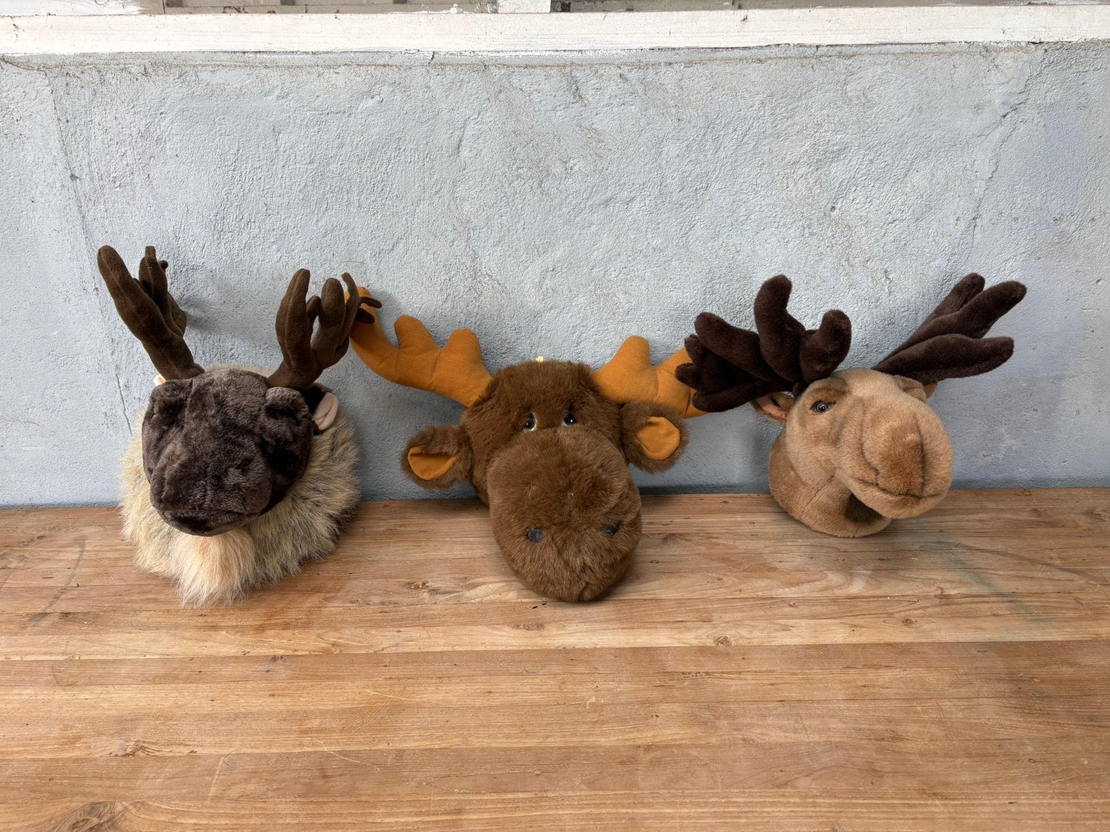 Set van 3 Pluche Dierenkoppen Eland/Rendier – kidskamer, Overige merken, Ophalen of Verzenden, Zo goed als nieuw, Wanddecoratie
