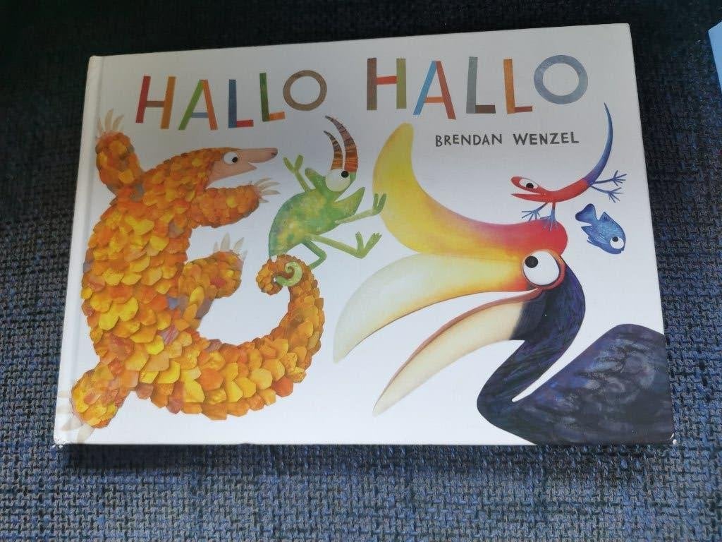 boek voor kleuter Hallo, Hallo, Ophalen, Fictie algemeen, Jongen of Meisje, Zo goed als nieuw