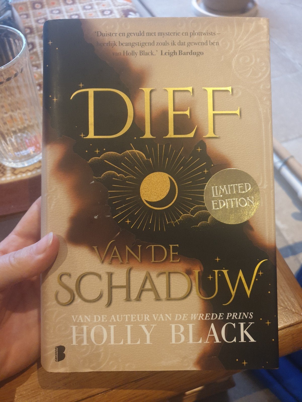 Dief van de Schaduw - Holly Black (Limited Edition), Boeken, Ophalen of Verzenden, Zo goed als nieuw, Holly Black, Nederland