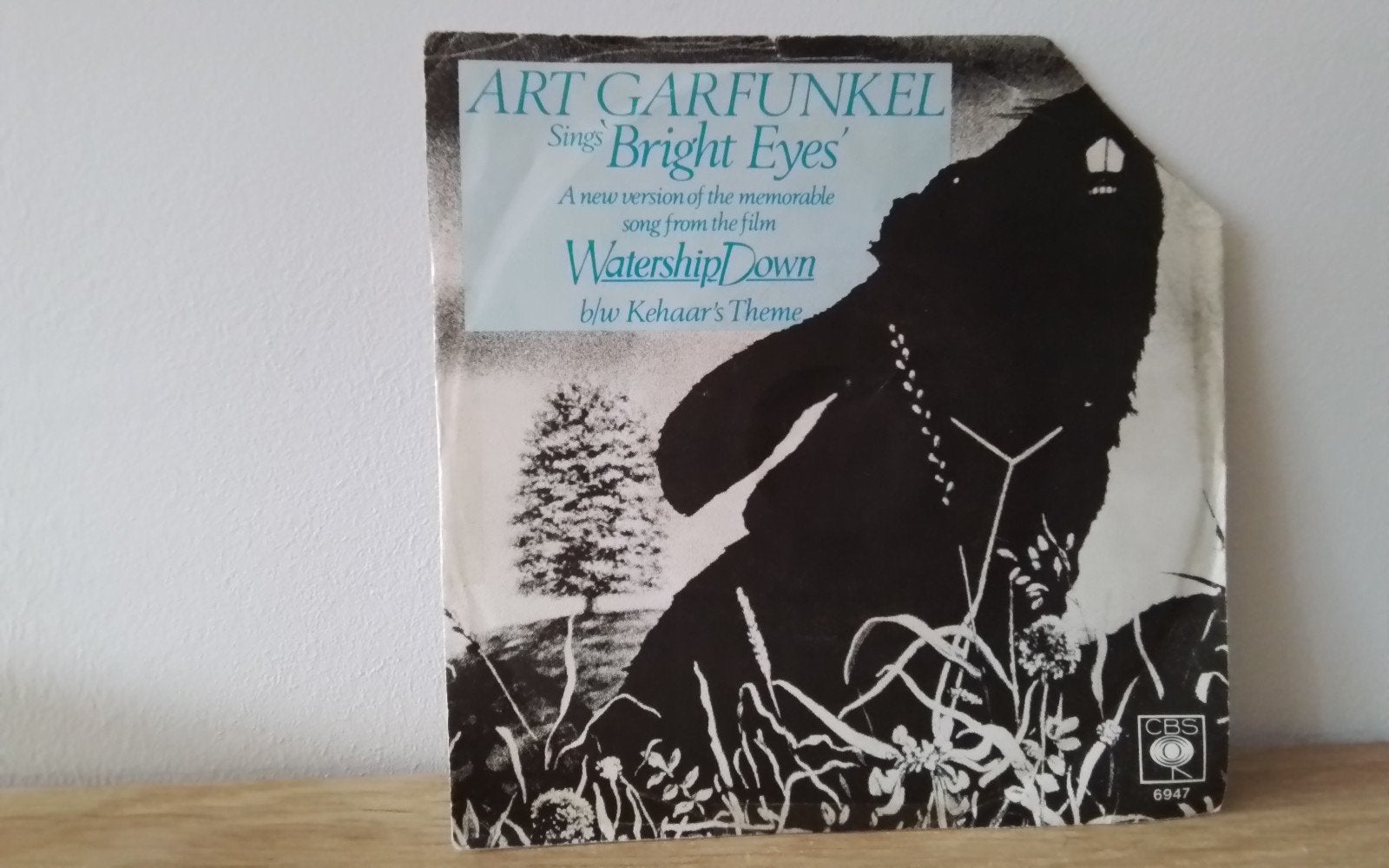 Art Gartfunkel - bright eyes, Ophalen of Verzenden