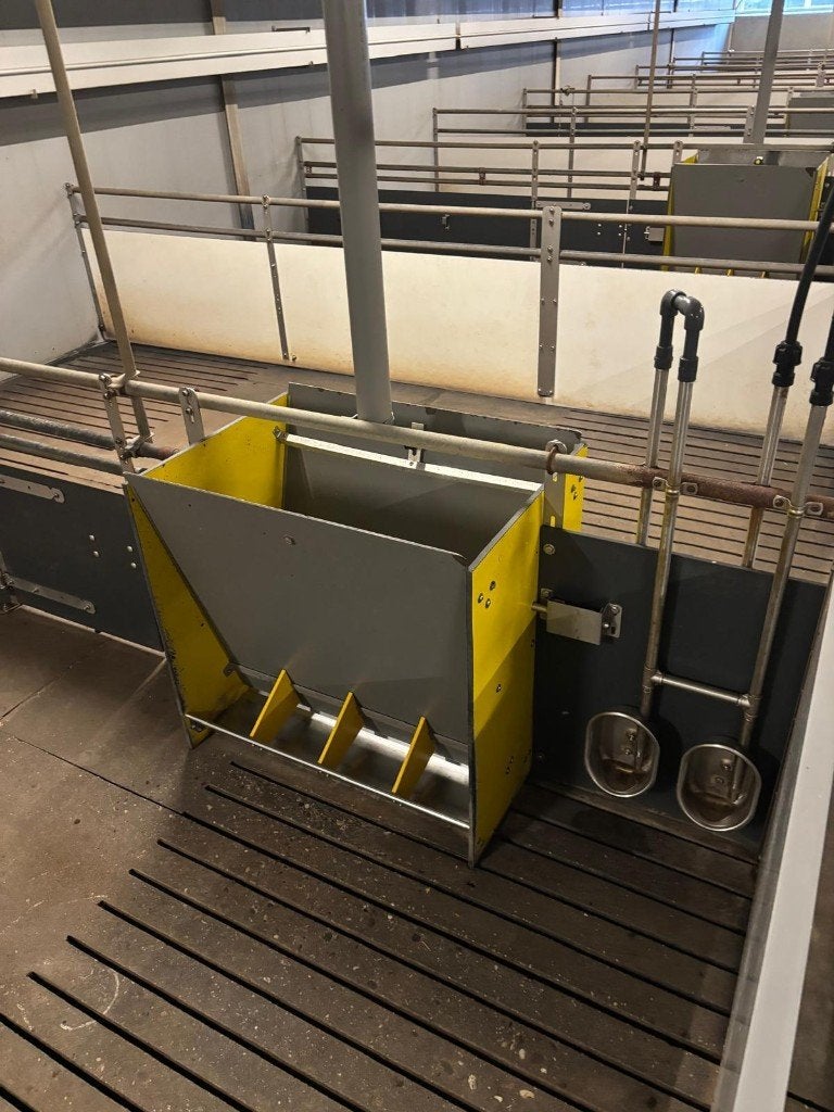 Pigsmile droogvoerbak 4x2 [553], Dieren en Toebehoren, Boekhorst Trading, Info@boekhorsttrading.com, Singel 16, Horssen