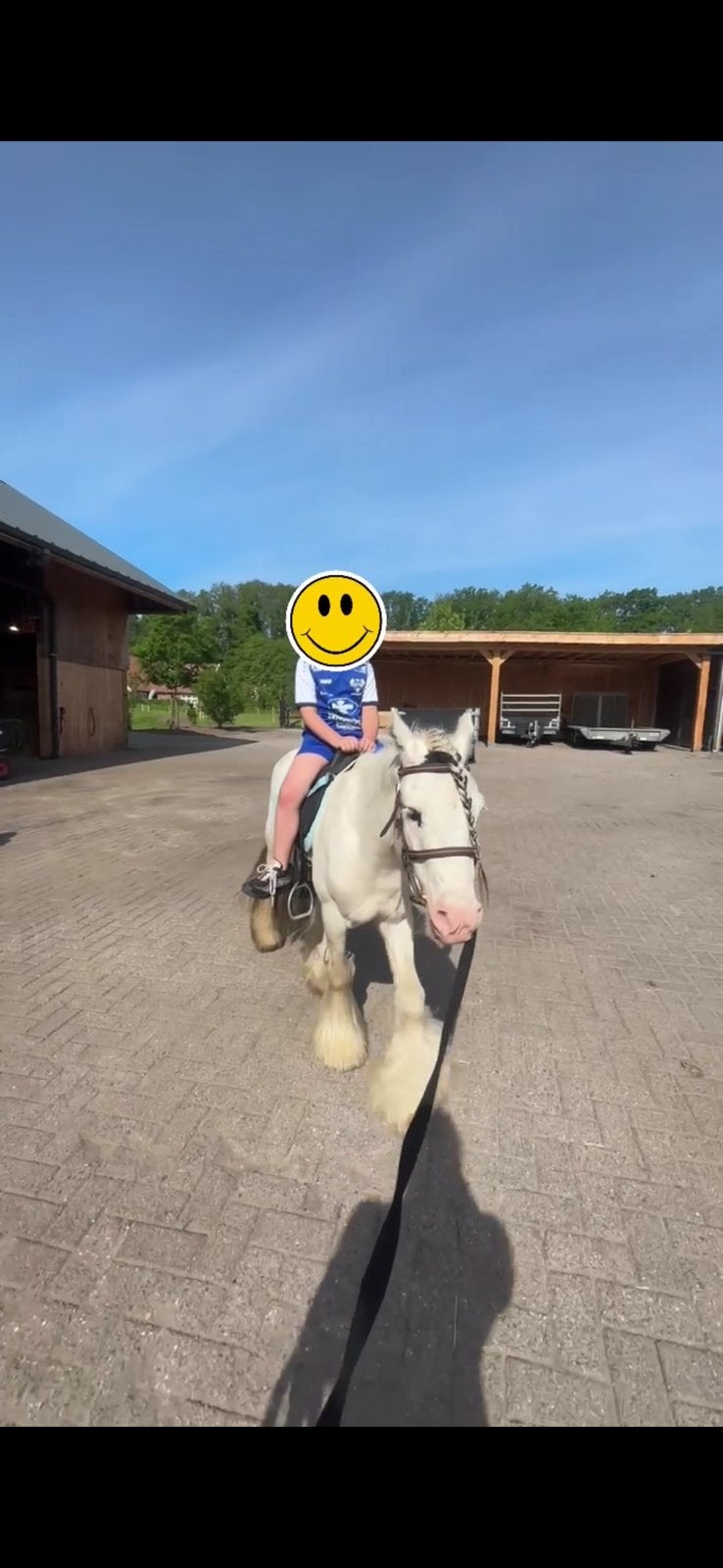 De allerliefste mini Tinker met een gouden karakter, Dieren en Toebehoren, Pony's, Gechipt, Ruin, Zadelmak, 3 tot 6 jaar
