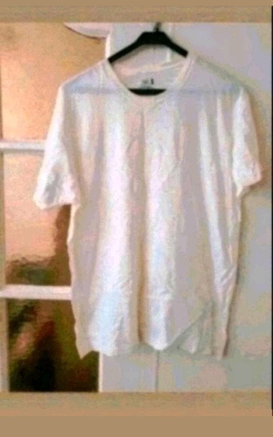 Fruit of the Loom t-shirt, Maat 52/54 (L), Wit, Ophalen of Verzenden, Zo goed als nieuw