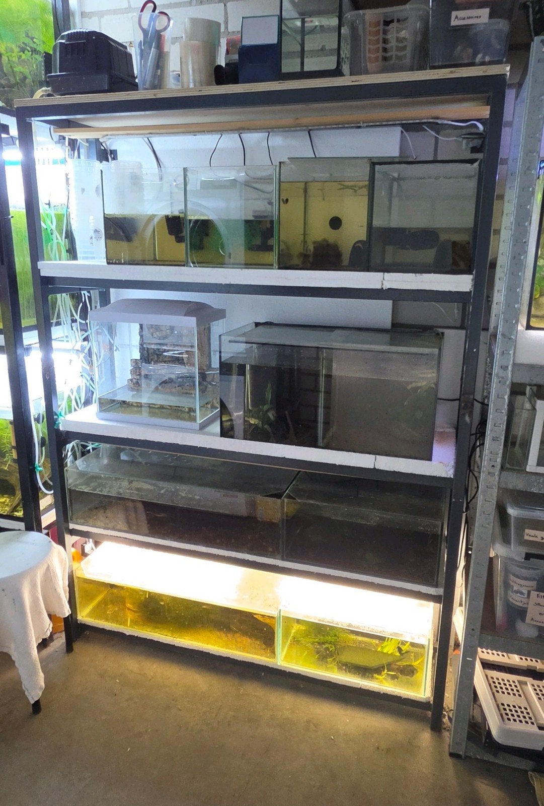 Koopje! Gratis stelling, bakken slechts 5 euro ps!, Ophalen, Gebruikt, Leeg aquarium, Overige merken