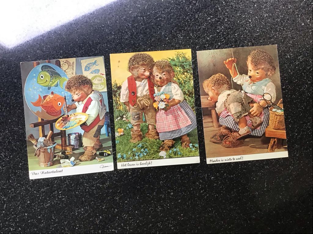 Oude ansichtkaarten egel, Ophalen of Verzenden, 1960 tot 1980, Ongelopen, Wild dier