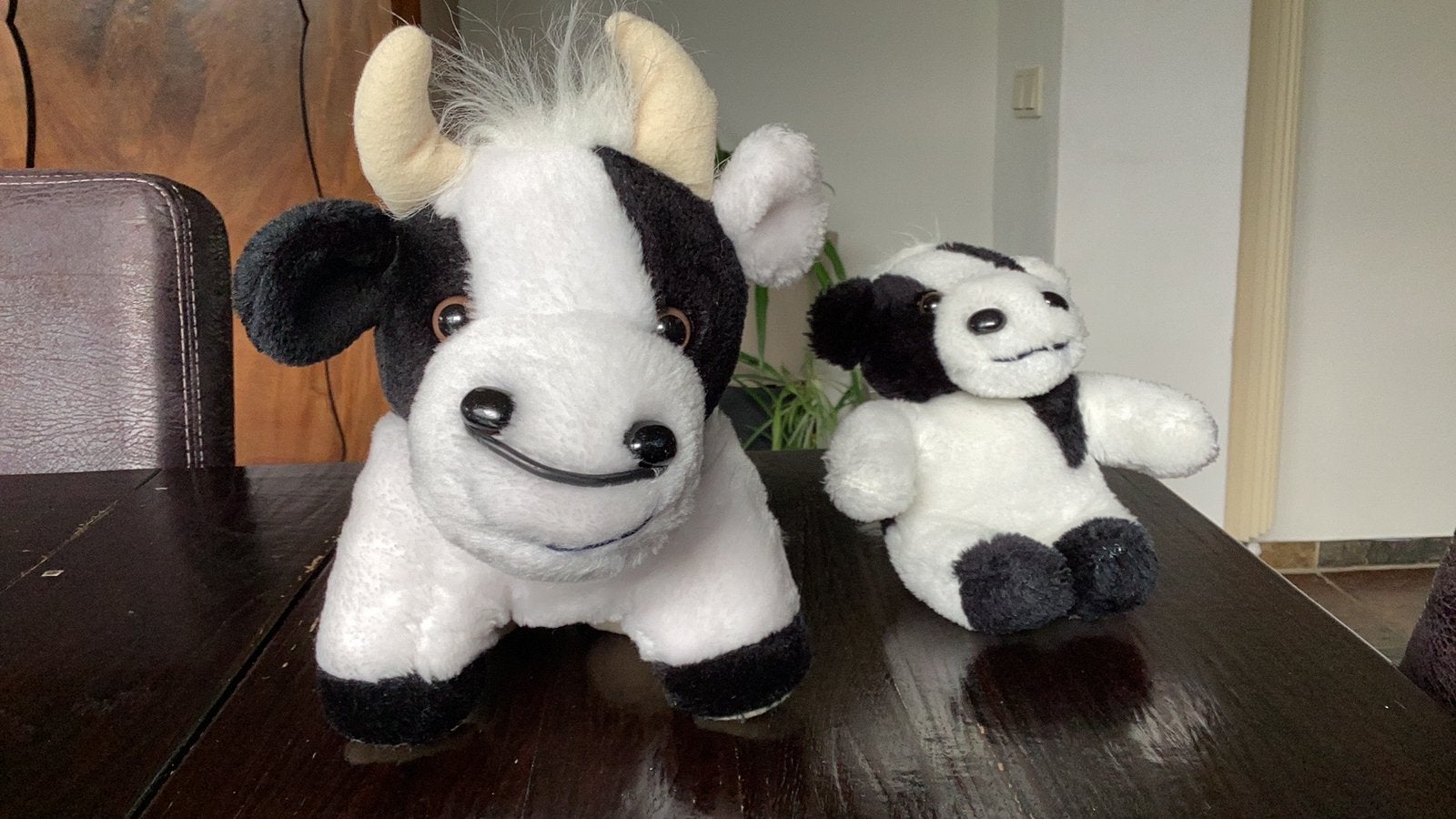 Koeien knuffel 2 x, Ophalen of Verzenden, Zo goed als nieuw, Zwart, Koe