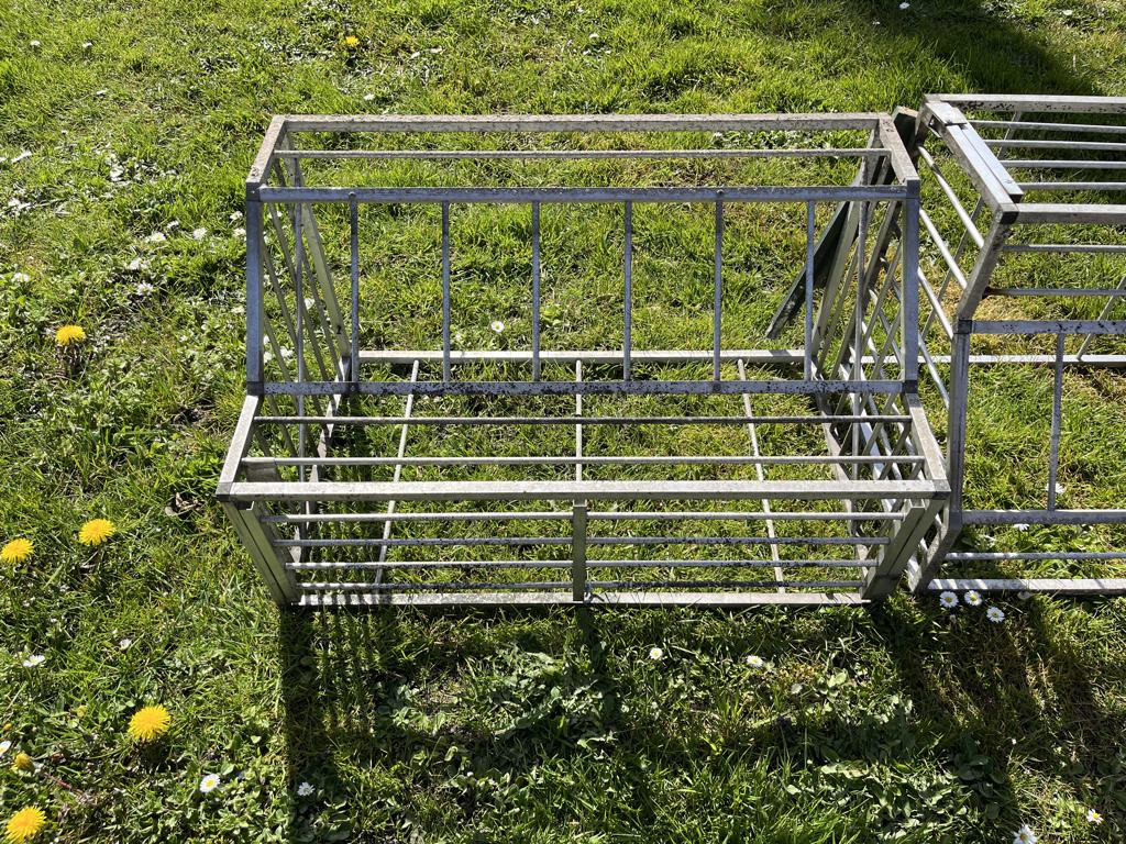 Spoetnik voor duiven, Meerdere dieren, Postduif