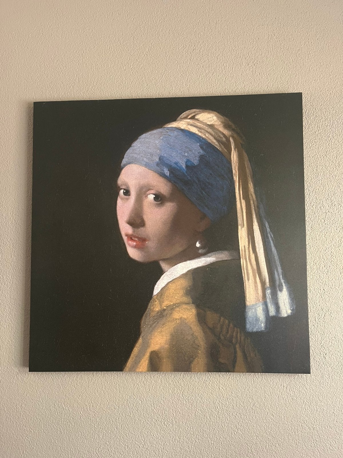 Schilderij Meisje met de parel, Ophalen, Zo goed als nieuw, Schilderij