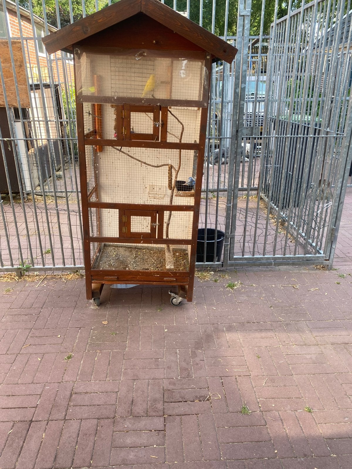 Hok met parkieten, Ophalen, Zo goed als nieuw, Hout, Vogelkooi