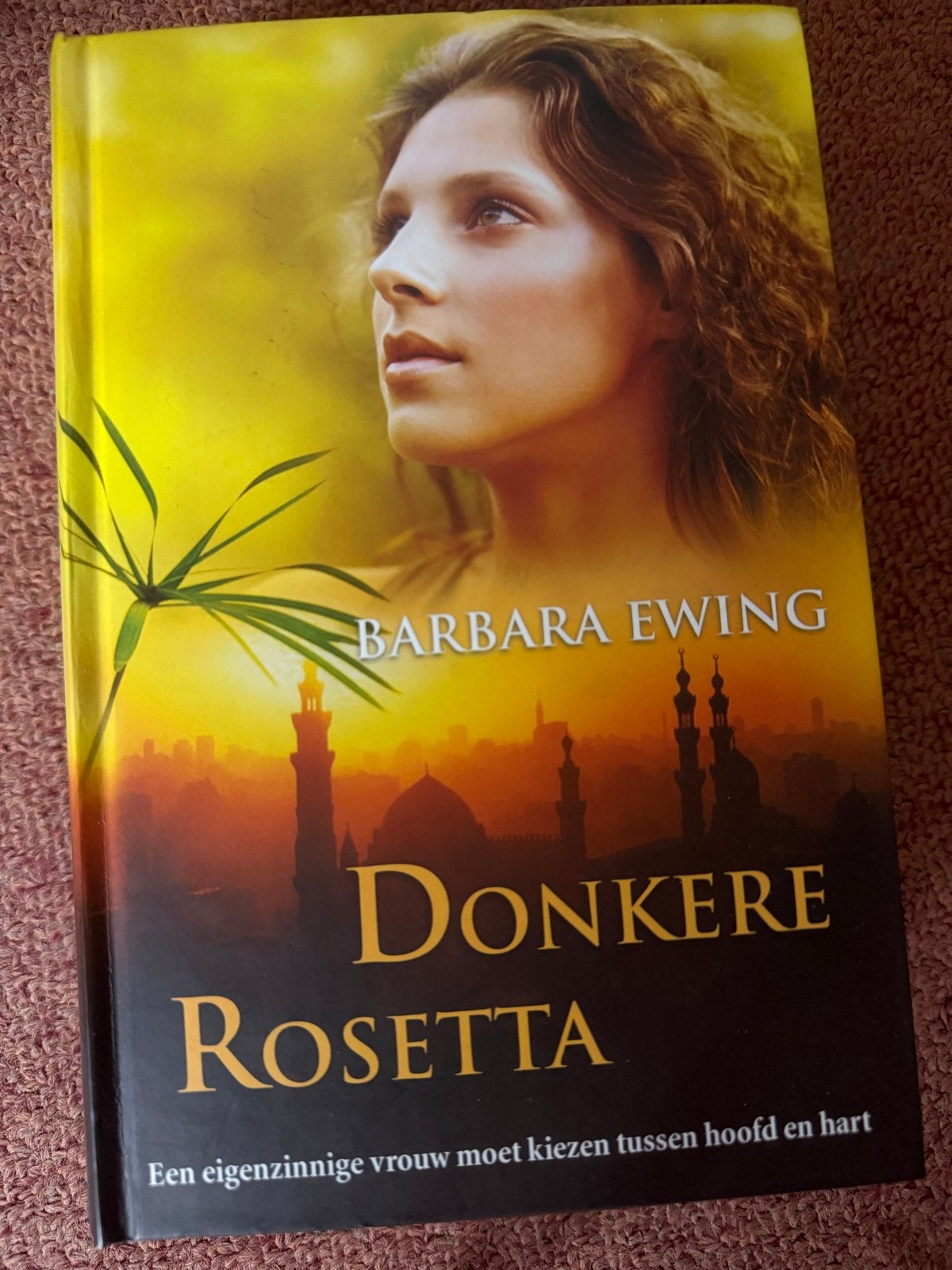 Donkere Rosetta - Barbara Ewing (roman), Ophalen of Verzenden, Zo goed als nieuw, Nederland