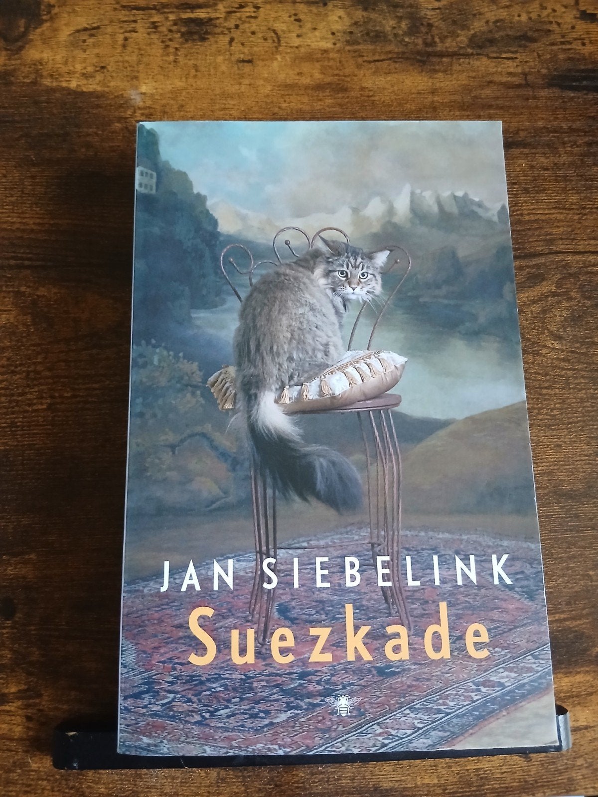 Suezskade - Jan Siebelink, Boeken, Romans, Zo goed als nieuw, Ophalen of Verzenden