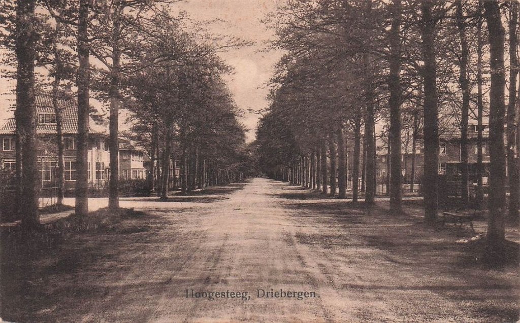702-152-017 Hoogesteeg Driebergen, Verzenden, Voor 1920, Utrecht