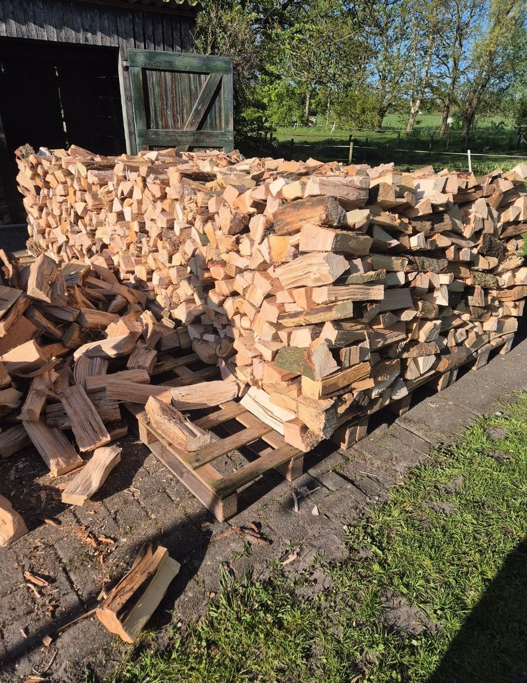 openhaardhout, 6 m³ of meer, Verzenden, Eikenhout, Blokken