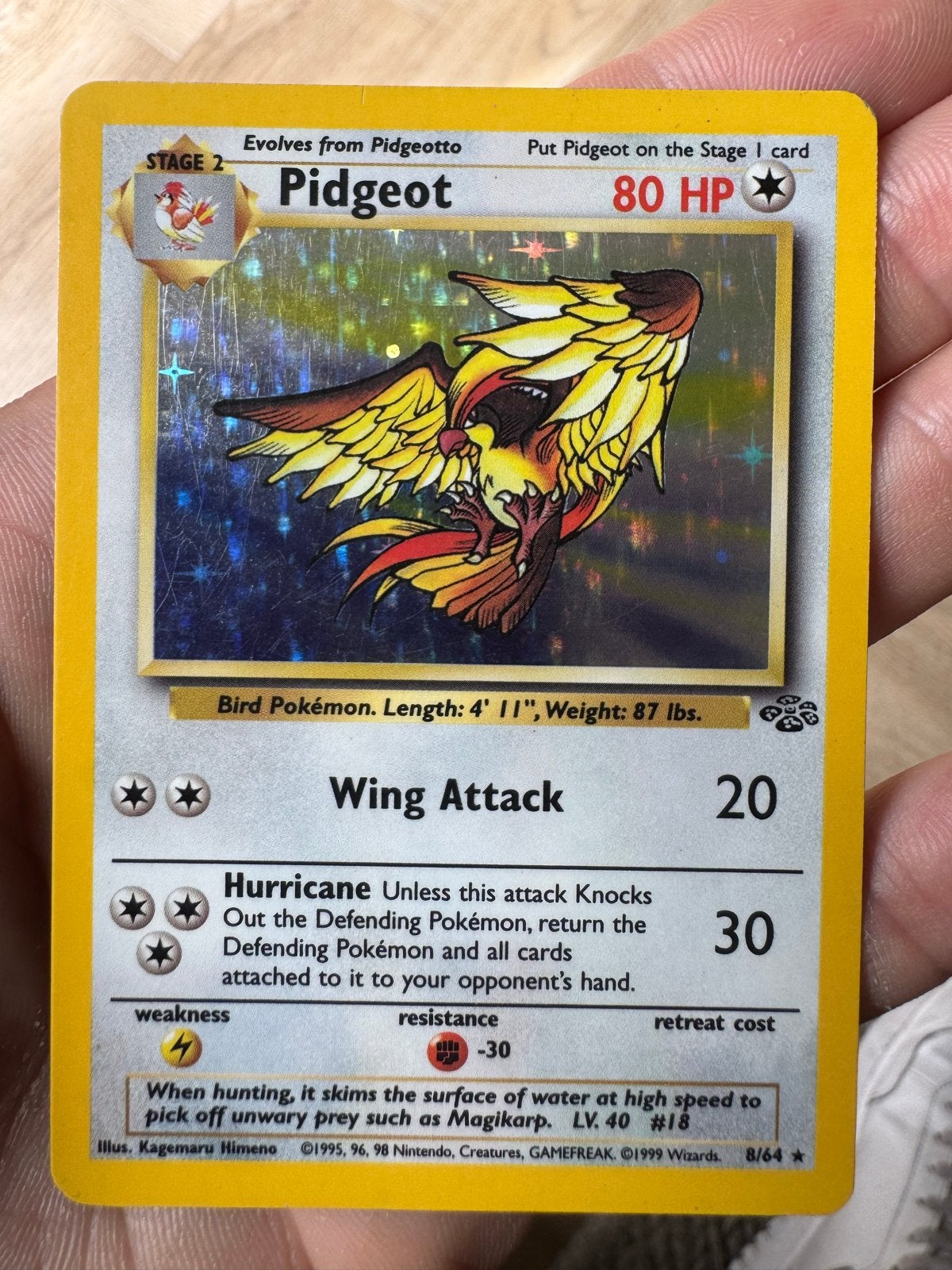 Pidgeot Holo 8/64 Jungle Set Pokémon Kaart, Ophalen of Verzenden, Losse kaart, Foil