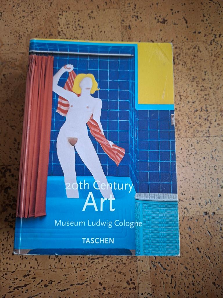 Taschen 20th centurion art, Ophalen of Verzenden