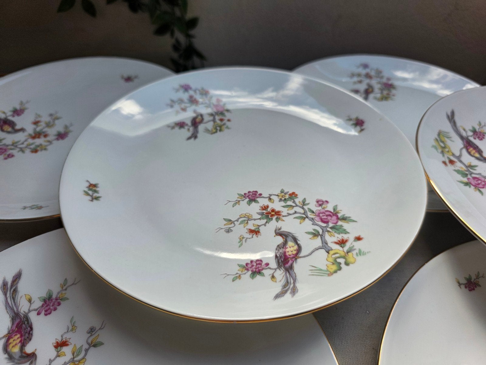 Dinerborden borden kleurrijke vogels, Ophalen of Verzenden