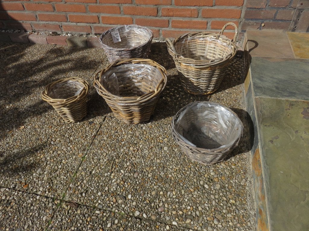 Rieten planten manden 5 stuks z.g.a.n. zware kwaliteit, Ophalen, Overige materialen, Minder dan 30 cm, Rond