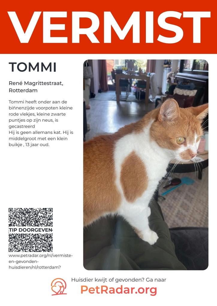 Vermist onze kater Tommi