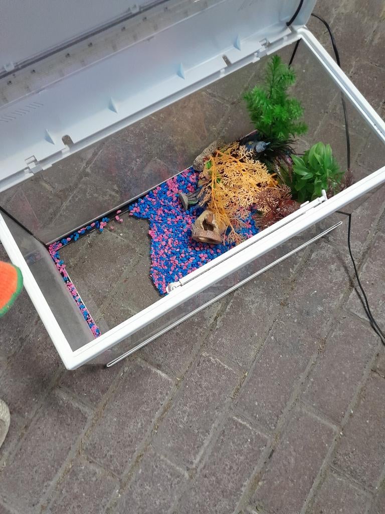 Mooie aquarium met decoratie, Dieren en Toebehoren, Vissen | Aquaria en Toebehoren, Ophalen, Gebruikt, Leeg aquarium