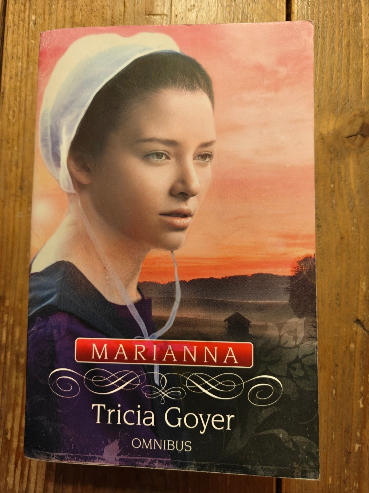 Marianna.   Omnibus., Boeken, Ophalen of Verzenden