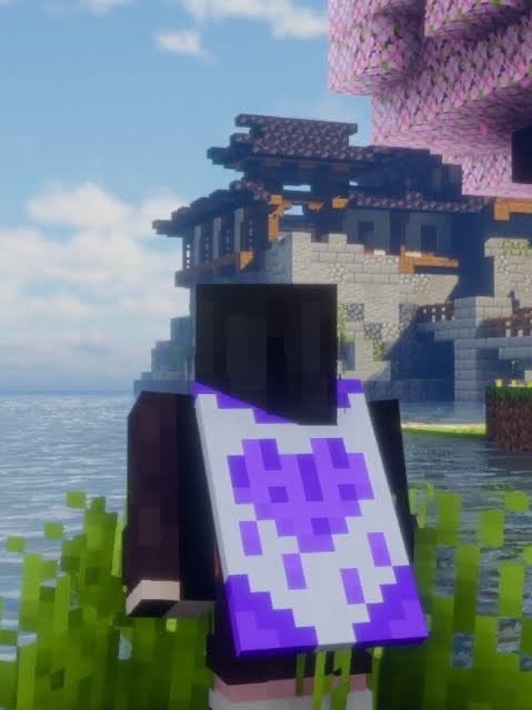 Minecraft Purple Heart Cape, Ophalen, Nieuw