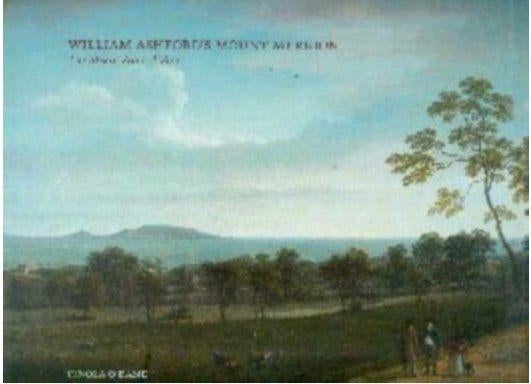 Williams Ashford's Mount Merrion NR0292, Gelezen, 19e eeuw, Verzenden, Finola O'Kane