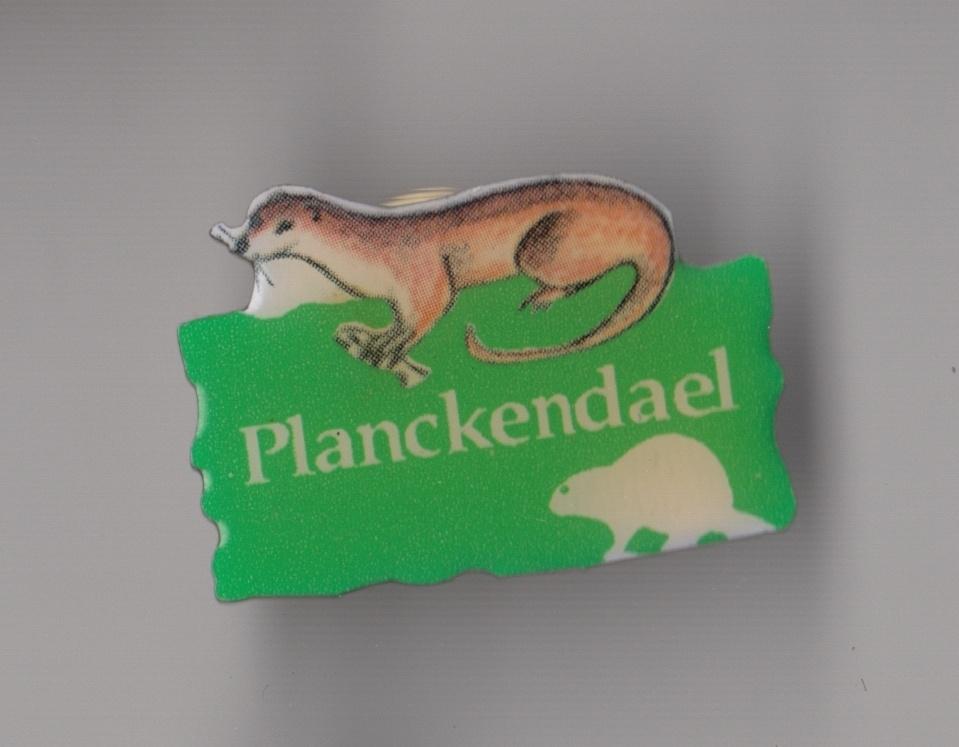 Dierentuin pin Planckendael Zoo Otter, Gebruikt, Niet vindbaar, Niet vindbaar, Speldje of Pin