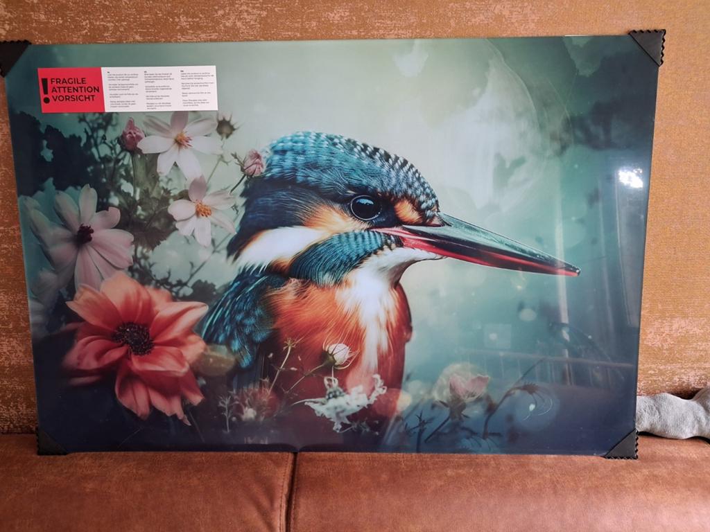 Nieuw plexiglas schilderij ijsvogel, Ophalen, Nieuw, Schilderij, 75 cm of meer