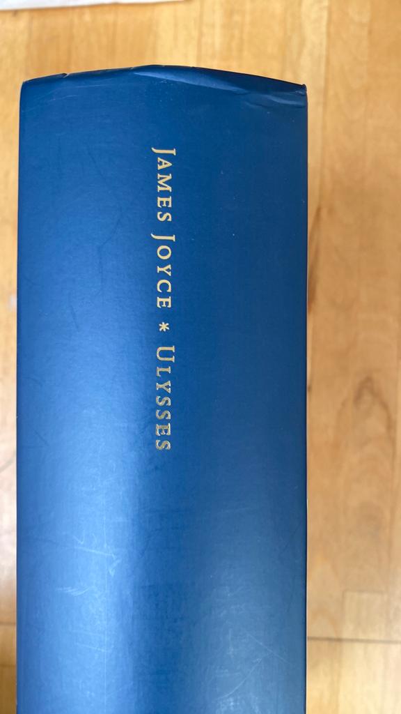 Ulysses James Joyce, Ophalen of Verzenden, Zo goed als nieuw