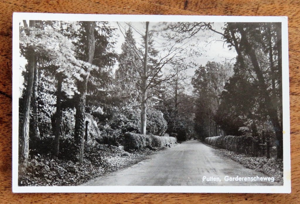 putten-garderenscheweg-garderenseweg-ansichtkaarten