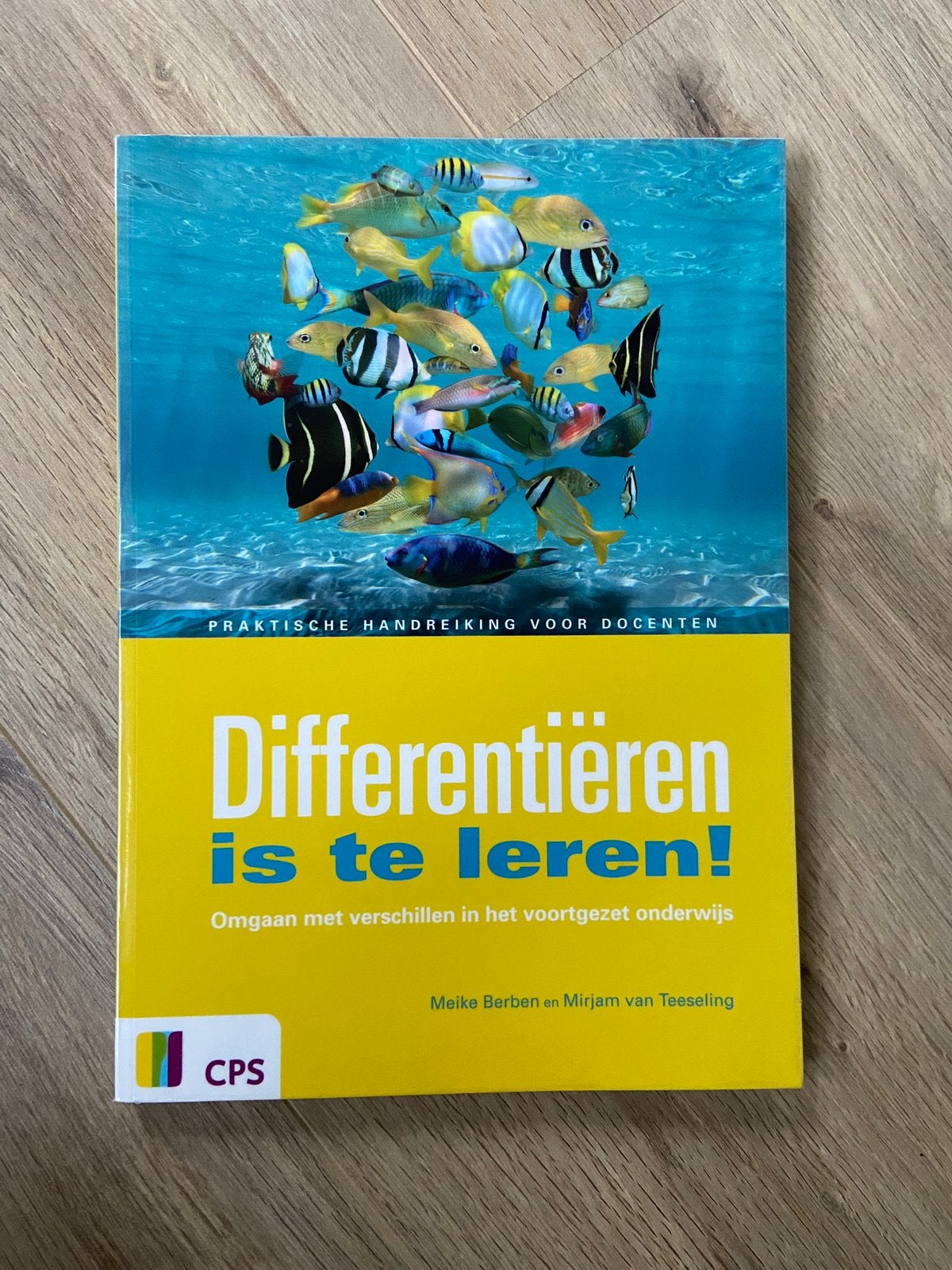 Differentiëren is te leren - omgaan met verschillen in VO, Boeken, Ophalen of Verzenden, Beta, Zo goed als nieuw, HBO