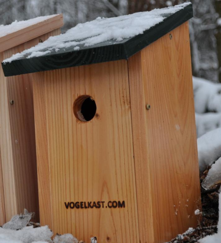 eikenprocessierups vogelhuisje - extra duurzaam, Ophalen of Verzenden, Nieuw