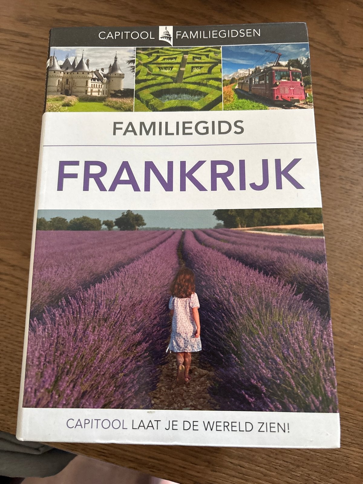 Capitool Familegids Frankrijk - Reisgids, Capitool, Europa, Ophalen of Verzenden, Zo goed als nieuw
